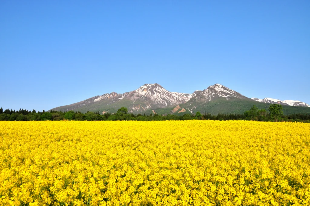 妙高市妙高山