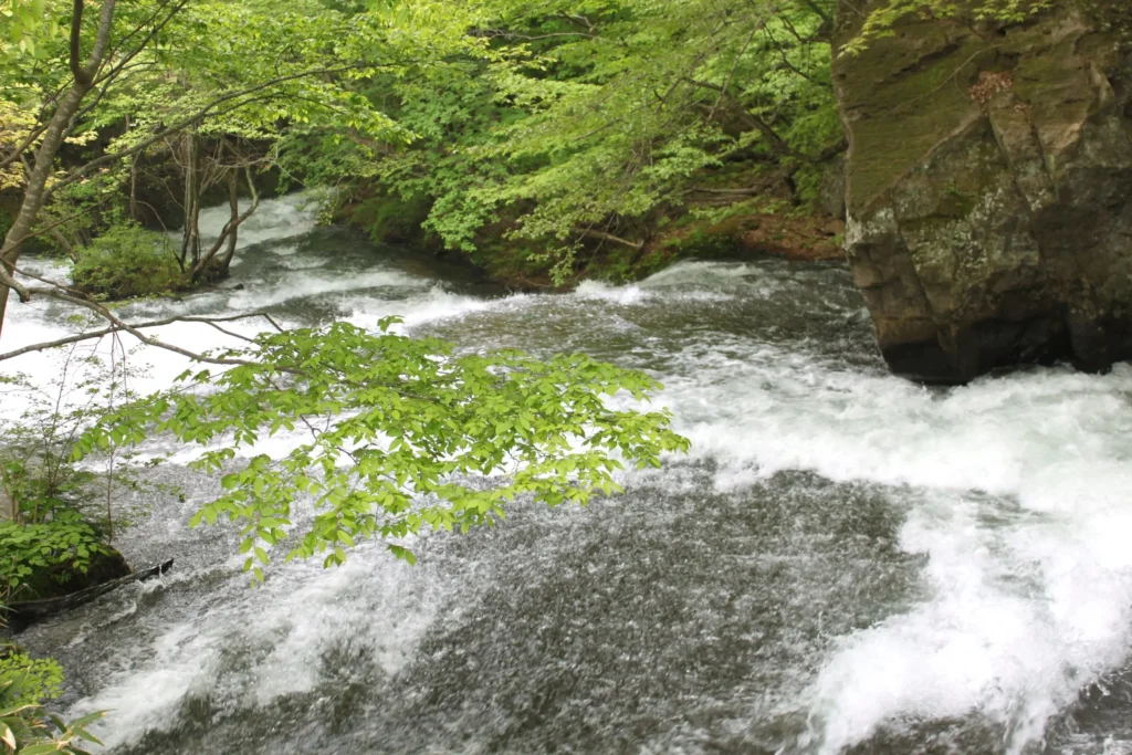 白河_風景