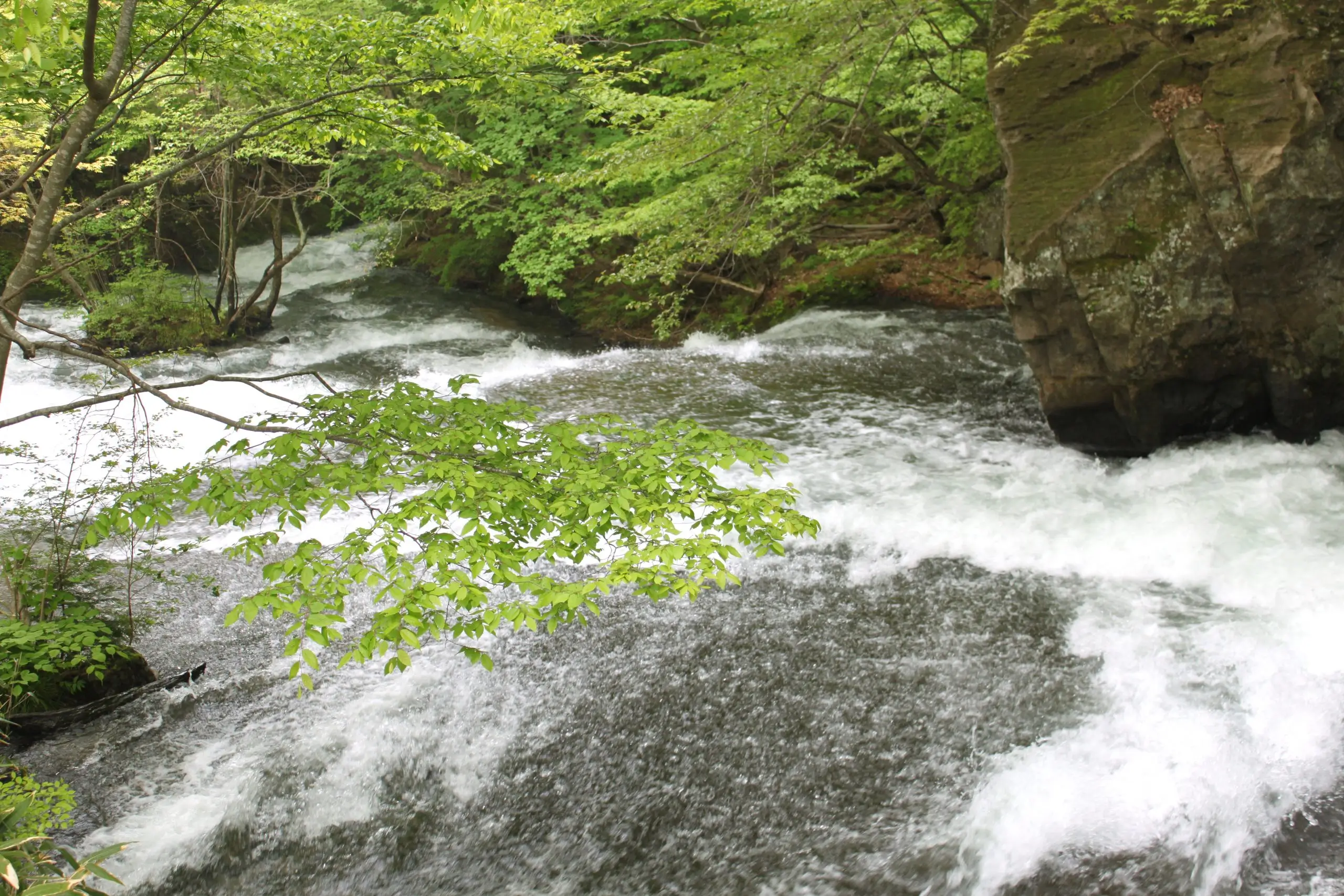 白河高原風景